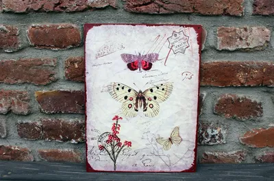 Produktbild von Shabby Blechschild Schmetterlinge