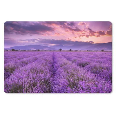 Produktbild von MuchoWow® Schreibtischunterlage Lavendel - Lila - Blumen - Feld 60x40 cm - XXL Mauspad - Großes Mauspad