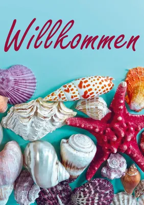 Produktbild von Willkommen