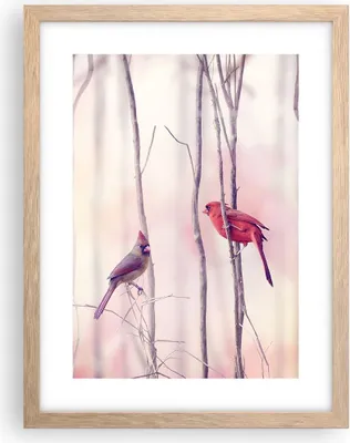 Produktbild von Gerahmtes Poster - Rahmen in heller Eiche - Vögel Kardinal Scharlachrot - 30x40 cm - Wand Bild - Wanddeko - Wandbilder - Wandposter - Bilderrahmen - Bilder - Kunstdruck - Wandbild - P2NPA30x40-4256