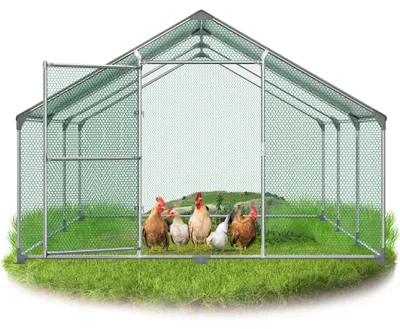 Produktbild von ACXIN Outdoor Hühnergehege Entenstall Kaninchenvoliere verzinktes Stahlrohr PE Wetterschutzdach Drahtgehege mit Schloss Geflügelstall 3x6x2m