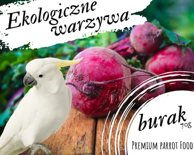 Immagine prodotto di Snack biologico alla barbabietola per pappagalli - Alimento premium per pappagalli 70G