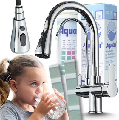 Immagine prodotto di Rubinetto da cucina a 3 vie Ari Nordic con doccetta estraibile, beccuccio girevole 360, per filtro acqua, cromato