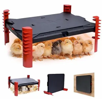 Produktbild von Wärmeplatte Küken mit Temperaturregler 40x30cm, 2-in-1 Heizplatte Hühnerstall Heizung Wärmelampe Küken Aufzucht