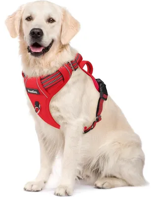 Immagine prodotto di Imbracatura per cani, regolabile, antistrappo, con maniglia e strisce riflettenti, traspirante, rossa, taglia XL