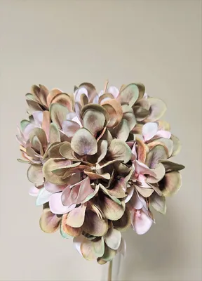 Produktbild von artplants.de Künstliche Hortensie Mandisa, grün-rosa, 65cm - Kunstblume Hortensie