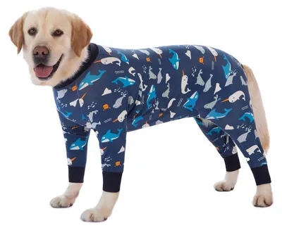 Produktbild von Tierpyjama für große Hunde, Overall