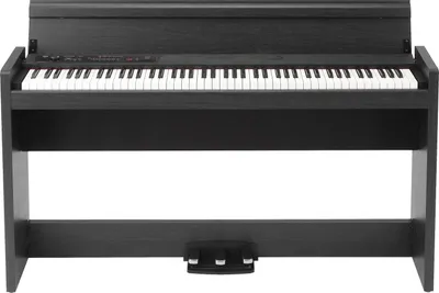 Image de Korg LP-380U RWBK