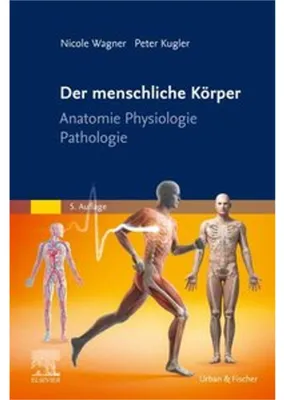 Obrázok produktu pre Der menschliche Körper