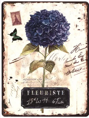 Immagine prodotto di Cartello in metallo G9582 Fleuriste fiore viola 25 x 33