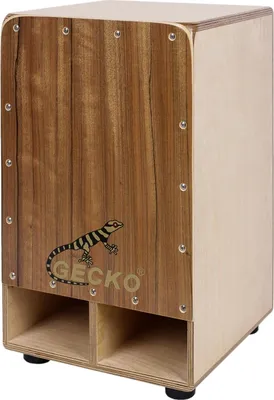 Image de Cajon Gecko CD01