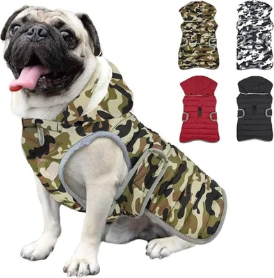 Produktbild von Famanu Hundejacke mit abnehmbarer Kapuze, wasserdicht, warm und bequem, grün, L