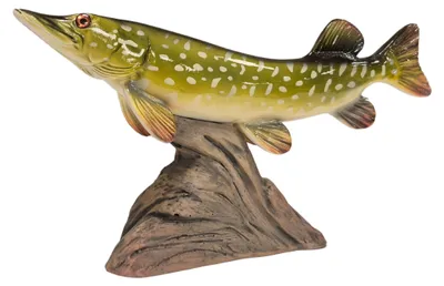 Imagen del producto de Trofeo tridimensional de pez lucio, color natural, 30 cm