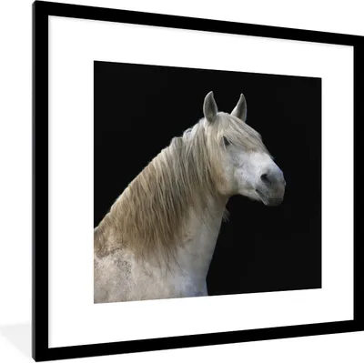 Produktbild von MuchoWow® Gerahmtes Poster Pferde - Schwarz 40x40 cm - Poster mit Schwarzem Bilderrahmen Wandposter Rahmen Foto Bilder - Poster - Plakat im Rahmen