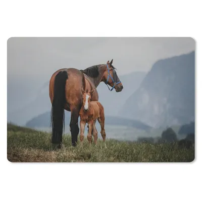 Produktbild von MuchoWow® Schreibtischunterlage Pferd - Fohlen - Berg 60x40 cm - XXL Mauspad - Großes Mauspad