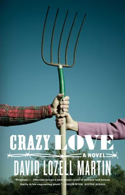 Produktbild von Crazy Love