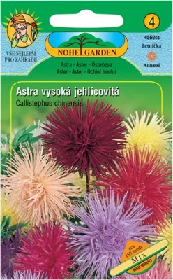 Immagine prodotto di Aster cinese alto a foglie aghiformi UNICUM, miscuglio
