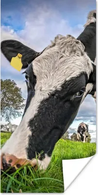 Produktbild von MuchoWow® Poster Kuh - Gras - Bauernhof - Natur 20x40 cm - Plakat - Foto
