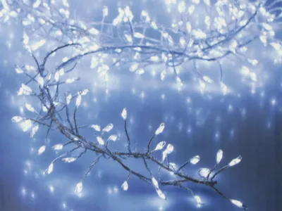 Obrázok produktu pre LED svetelná reťaz strieborný drôt, 100 LED diód, studená biela, napájanie batériami