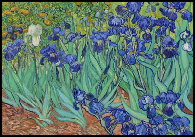 Zdjęcie produktu dla Plakat 100x70cm Irises, Van Gogh Vintage do Salonu
