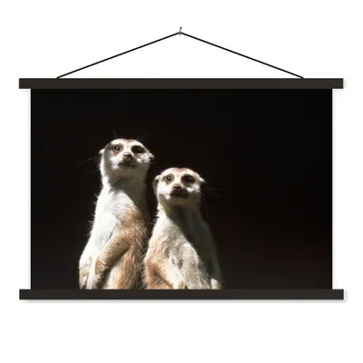 Produktbild von MuchoWow® Textilposter Schwarz - Erdmännchen - Tiere 120x80 cm mit schwarzem Rahmen - Wanddeko