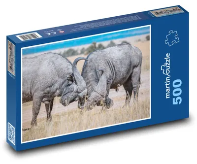 Zdjęcie produktu dla Puzzle 500 Safari - walka bawołów - martinpuzzle