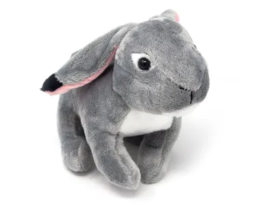 A stuffed toy rabbit is shown against a white background.