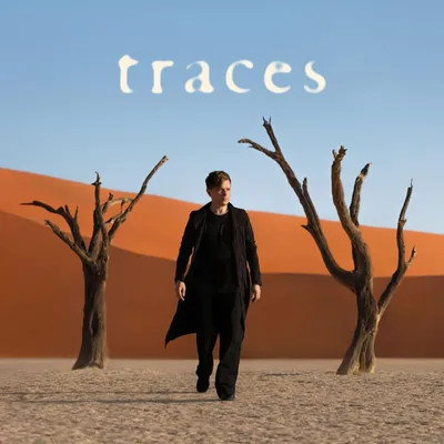 Obrázek produktu pro MICHAEL PATRICK KELLY - Traces (CD)