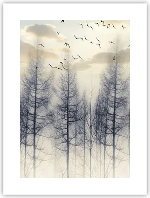Produktbild von Poster - Poster ohne Rahmen - Bäume Vögel Himmel - 30x40 cm - Wand Bild - Wanddeko - Wandbilder - Kunstposter - Wandposter - Bilder - Kunstdruck - Wanddekoration - Wandbild - P2XPA30x40-4546