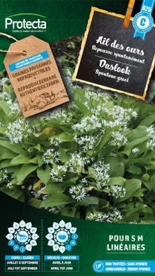 Productafbeelding van Protecta Kruiden zaden: Daslook
