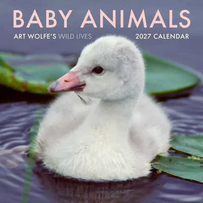 Produktbild von Wandkalender 2027: Süße Baby-Tiere