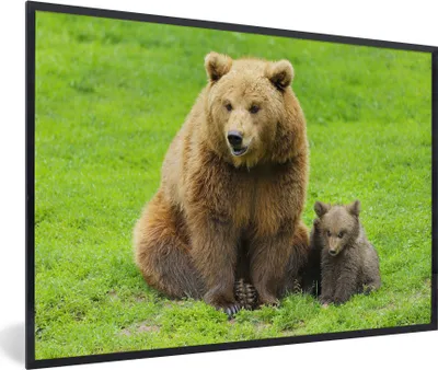 Produktbild von MuchoWow® MuchoWow® Gerahmtes Poster Bär - Gras - Junge 30x20 cm - Poster mit zchwarzem Bilderrahmen - Kunstdruck - Bild-Poster