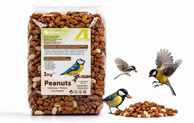Imagen del producto de Alimento para aves silvestres Flamingo – Calidad premium – Cacahuates pelados, 1 kg
