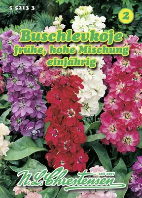 Produktbild von Buschlevkoje frühe hohe Mischung  | Blumensamenmischung von N.L. Chrestensen