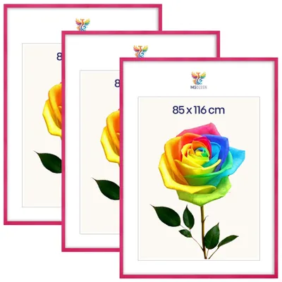Produktbild von MG Design 3er Set Bilderrahmen Rosa 85x116 cm - Posterrahmen Echtholz mit Acrylglas, verstärkte Wandaufhängung, hoch/quer