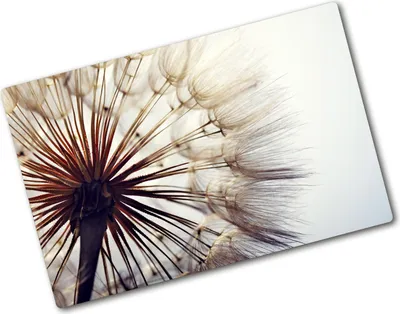 Produktbild von Tulup Glas Herdabdeckplatte - 80x52 cm - Glaskeramikkochfeld-Abdeckung Spritzschutz Glasabdeckplatte - Einteilig - Blumen & Pflanzen - Pusteblume - Weiß