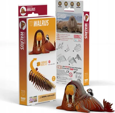 Produktbild von EUGY - 3D Bastelset Walross