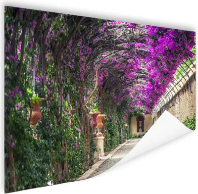 Produktbild von MuchoWow® Poster Getunnelte Pergola 120x80 cm - Bilder