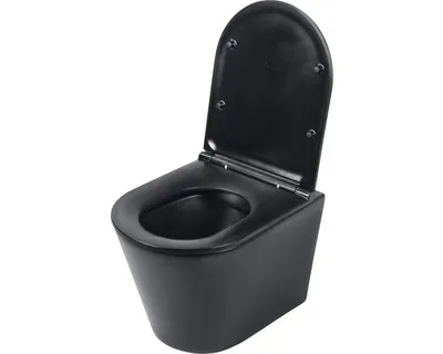 Obrázek produktu pro Sada závěsného WC Differenz hluboké splachování bez splachovacího okraje matně černá s WC sedátkem 38.500.03