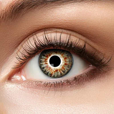 Produktbild von Zoelibat Grey natürliche 12-Monats-Kontaktlinsen stilvoller, dezenter Look