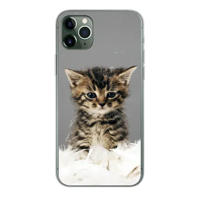 Produktbild von MuchoWow® Handyhülle Schutzhülle Hülle für iPhone 11 Pro Max Katze - Kätzchen - Federn Silikon Softcase Handy Hülle - Schutz
