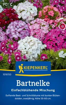 Produktbild von Kiepenkerl Bartnelkensamen Einfachblühende Mischung 60 Pflanzen