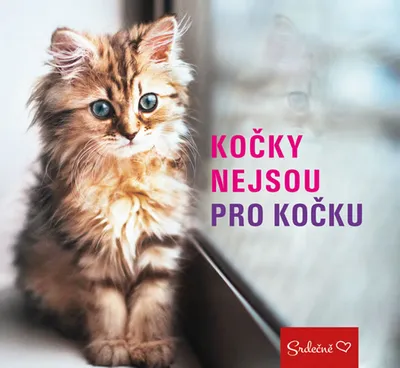 Obrázek produktu pro Kočky nejsou pro kočku