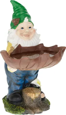 Image de Nain de jardin avec bain d'oiseaux