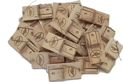 Produktbild von Neustanlo | Klassische Mausefalle | nachhaltiges Holzdesign | Set aus 20 Stück | ideal für effiziente Schädlingsbekämpfung