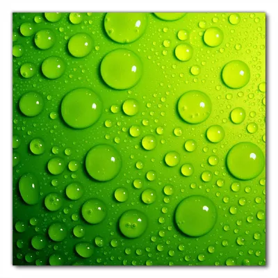 Produktbild von Wallario selbstklebende Möbelfolie/ Tischdecke für Innen und Außen, Größe: 50 x 50 cm - Wassertropfen auf Grün