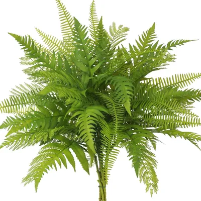 Image de Fougère artificielle, 81 cm, résistante aux UV, pour intérieur et extérieur