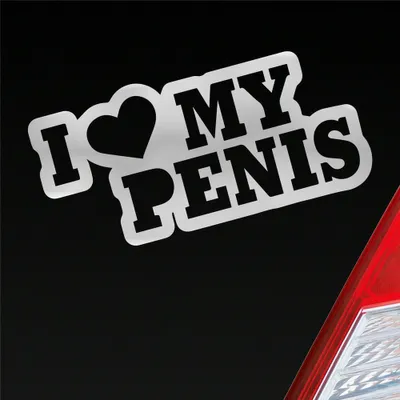 Produktbild von Auto Aufkleber I Love my Penis Lustig Spruch 15x7 cm Silber Sticker Heckscheibenaufkleber