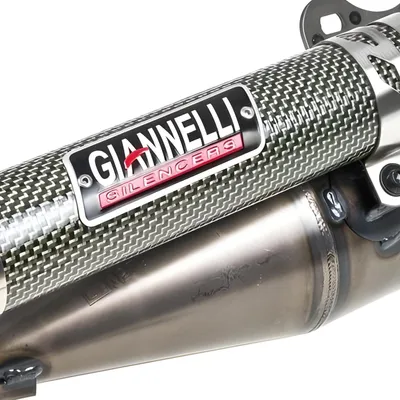 Produktbild von Auspuffanlage Giannelli Reverse mit ABE für Aprilia