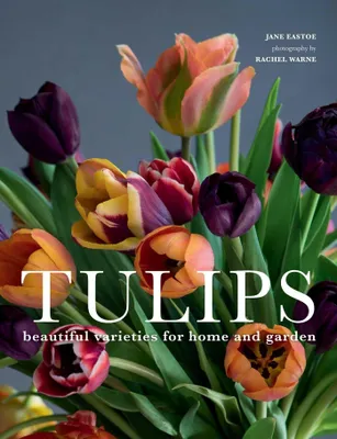 Produktbild von Tulips